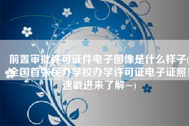 前置审批许可证件电子图像是什么样子(全国首张民办学校办学许可证电子证照！速戳进来了解~)