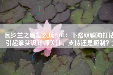 瓦罗兰之盾怎么玩(LOL：下路双辅助打法引起拳头设计师关注，支持还是扼制？)