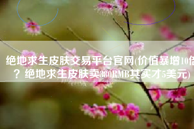 绝地求生皮肤交易平台官网(价值暴增10倍？绝地求生皮肤卖380RMB其实才5美元)