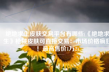 绝地求生皮肤交易平台有哪些(《绝地求生》枪械皮肤可直接交易：市场价格疯狂！最高售价1万2)