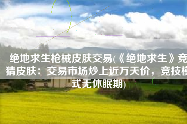 绝地求生枪械皮肤交易(《绝地求生》竞猜皮肤：交易市场炒上近万天价，竞技模式无休眠期)