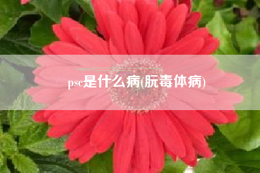 psc是什么病(朊毒体病)