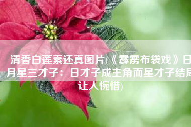清香白莲素还真图片(《霹雳布袋戏》日月星三才子：日才子成主角而星才子结局让人惋惜)