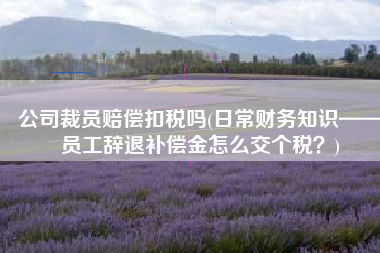 公司裁员赔偿扣税吗(日常财务知识——员工辞退补偿金怎么交个税？)