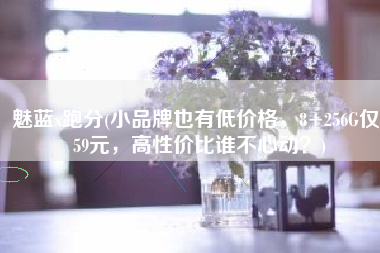 魅蓝x跑分(小品牌也有低价格，8+256G仅959元，高性价比谁不心动？)