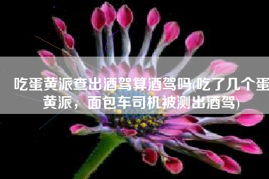 吃蛋黄派查出酒驾算酒驾吗(吃了几个蛋黄派，面包车司机被测出酒驾)