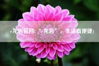 e龙岩官网(“e龙岩”，生活真便捷)