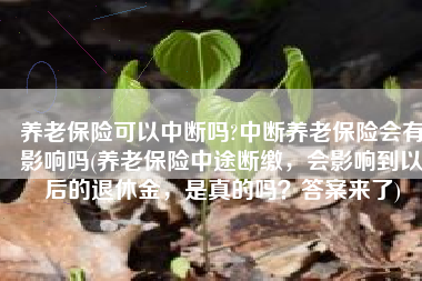 养老保险可以中断吗?中断养老保险会有影响吗(养老保险中途断缴，会影响到以后的退休金，是真的吗？答案来了)