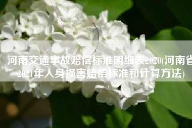 河南交通事故赔偿标准明细表2020(河南省2021年人身损害赔偿标准和计算方法)