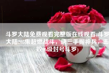 斗罗大陆免费观看完整版在线观看(斗罗大陆205集超燃战斗，唐三手握神兵，击败96级封号斗罗)