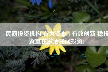 民间投资机构(有为资本+有效创新 稳投资重在激活民间投资)