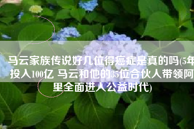马云家族传说好几位得癌症是真的吗(5年投入100亿 马云和他的35位合伙人带领阿里全面进入公益时代)