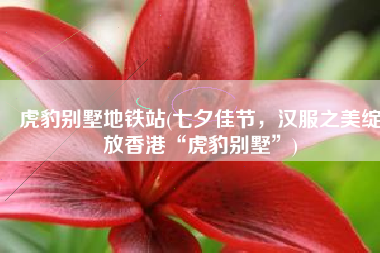 虎豹别墅地铁站(七夕佳节，汉服之美绽放香港“虎豹别墅”)