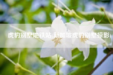 虎豹别墅地铁站(新加坡虎豹别墅掠影)