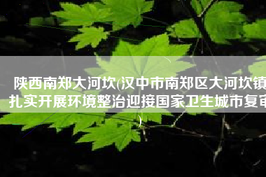 陕西南郑大河坎(汉中市南郑区大河坎镇扎实开展环境整治迎接国家卫生城市复审)