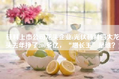 硅料上市公司龙头企业(光伏硅料四大龙头去年挣了200多亿，“增长王”是谁？)