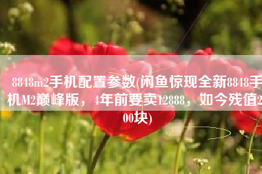 8848m2手机配置参数(闲鱼惊现全新8848手机M2巅峰版，4年前要卖12888，如今残值2500块)