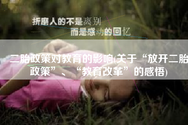 二胎政策对教育的影响(关于“放开二胎政策”、“教育改革”的感悟)