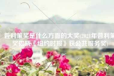 普利策奖是什么方面的大奖(2021年普利策奖揭晓《纽约时报》获公共服务奖)