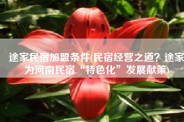 途家民宿加盟条件(民宿经营之道？途家为河南民宿“特色化”发展献策)