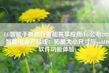 LG智能手机执行智能共享应用(LG公布2022智能电视产品线：拓展大小尺寸与webOS软件功能体验)