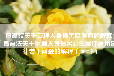 最高院关于审理人身损害赔偿问题解释(最高法关于审理人身损害赔偿案件适用法律若干问题的解释（2022）)