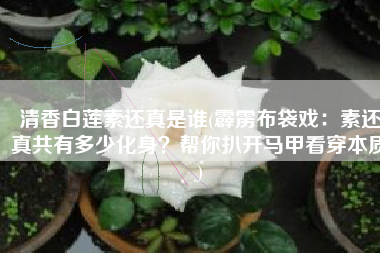 清香白莲素还真是谁(霹雳布袋戏：素还真共有多少化身？帮你扒开马甲看穿本质)