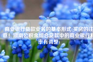 商业银行贷款业务的基本形式(买房的注意！湖南公积金组合贷款中的商业银行利率有调整)