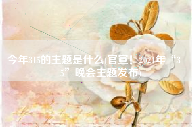 今年315的主题是什么(官宣！2021年“3•15”晚会主题发布)