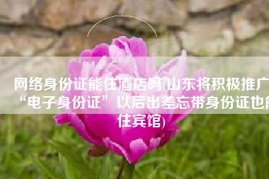 网络身份证能住酒店吗(山东将积极推广“电子身份证”以后出差忘带身份证也能住宾馆)