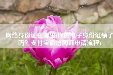 网络身份证在哪里(你的电子身份证领了吗？支付宝微信网证申请流程)