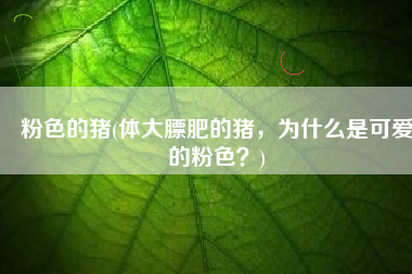 粉色的猪(体大膘肥的猪，为什么是可爱的粉色？)