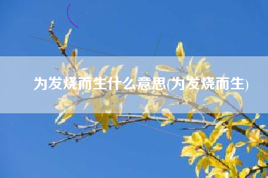 为发烧而生什么意思(为发烧而生)