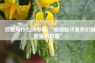 后盾用什么词形容(“祖国始终是我们最坚强的后盾”)