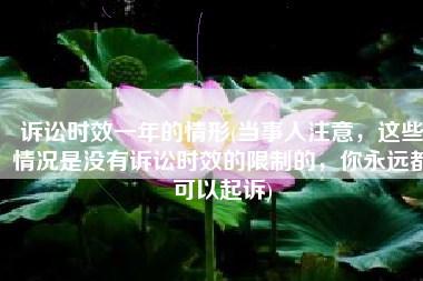 诉讼时效一年的情形(当事人注意，这些情况是没有诉讼时效的限制的，你永远都可以起诉)