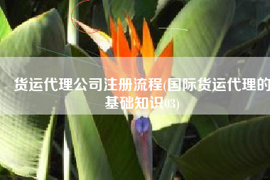 货运代理公司注册流程(国际货运代理的基础知识03)