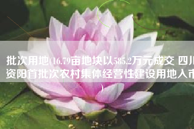 批次用地(16.79亩地块以585.2万元成交 四川资阳首批次农村集体经营性建设用地入市)