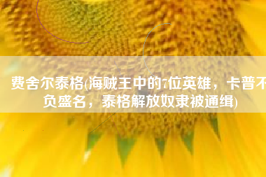 费舍尔泰格(海贼王中的7位英雄，卡普不负盛名，泰格解放奴隶被通缉)