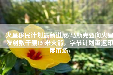 火星移民计划最新进展(马斯克要向火星发射数千艘120米火箭，字节计划重返印度市场)