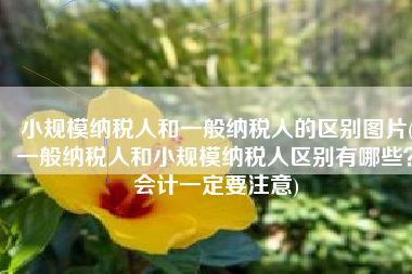 小规模纳税人和一般纳税人的区别图片(一般纳税人和小规模纳税人区别有哪些？会计一定要注意)