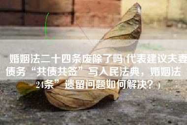 婚姻法二十四条废除了吗(代表建议夫妻债务“共债共签”写入民法典，婚姻法“24条”遗留问题如何解决？)