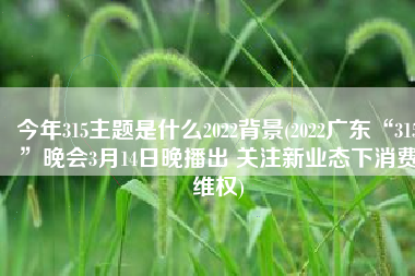 今年315主题是什么2022背景(2022广东“315”晚会3月14日晚播出 关注新业态下消费维权)