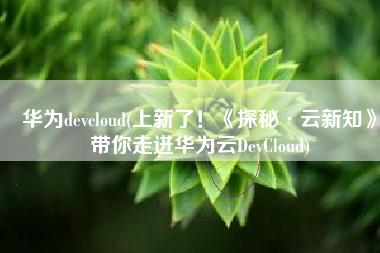 华为devcloud(上新了！《探秘·云新知》带你走进华为云DevCloud)