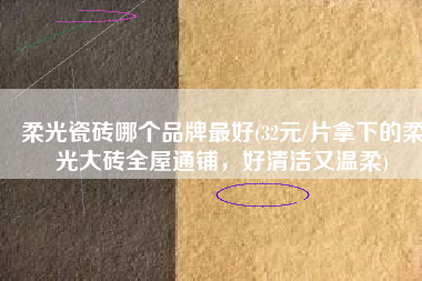 柔光瓷砖哪个品牌最好(32元/片拿下的柔光大砖全屋通铺，好清洁又温柔)