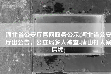 河北省公安厅官网政务公示(河北省公安厅出公告，公安局多人被查-唐山打人案后续)