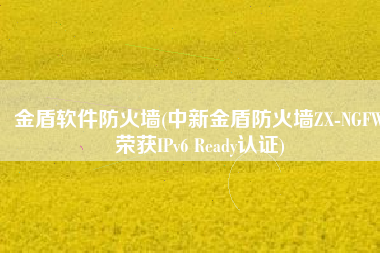 金盾软件防火墙(中新金盾防火墙ZX-NGFW荣获IPv6 Ready认证)