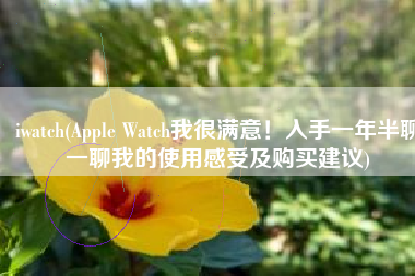 iwatch(Apple Watch我很满意！入手一年半聊一聊我的使用感受及购买建议)