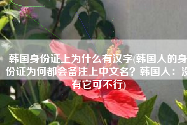 韩国身份证上为什么有汉字(韩国人的身份证为何都会备注上中文名？韩国人：没有它可不行)
