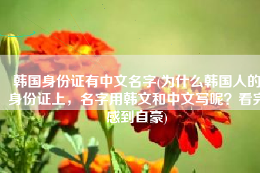 韩国身份证有中文名字(为什么韩国人的身份证上，名字用韩文和中文写呢？看完感到自豪)