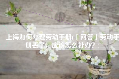 上海如何办理劳动手册(「问答」劳动手册丢了，应该怎么补办？)